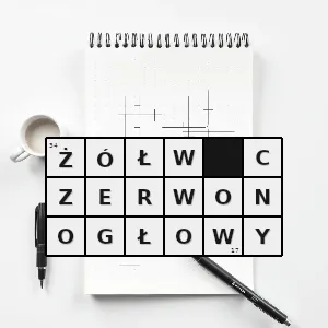 Rozwiązanie krzyżówki: platynogłówka - żółw czerwonogłowy | hasła, synonimy i podpowiedzi Hasło krzyżówkowe platynogłówka - żółw czerwonogłowy – rozwiązanie, synonimy, podpowiedzi i definicje krzyżówkowe